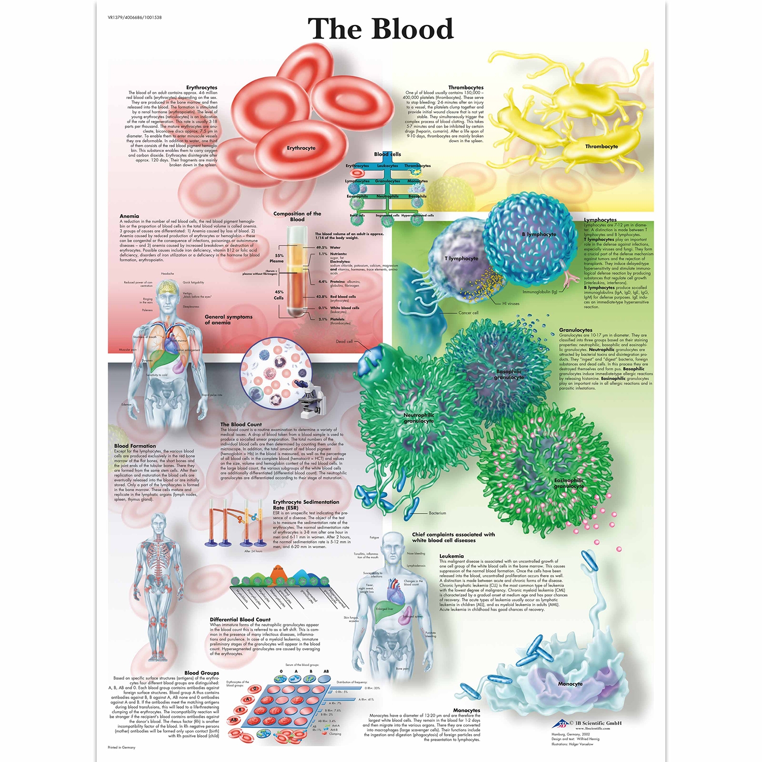 Pancarte murale plastifiée The Blood - 50 x 67 cm