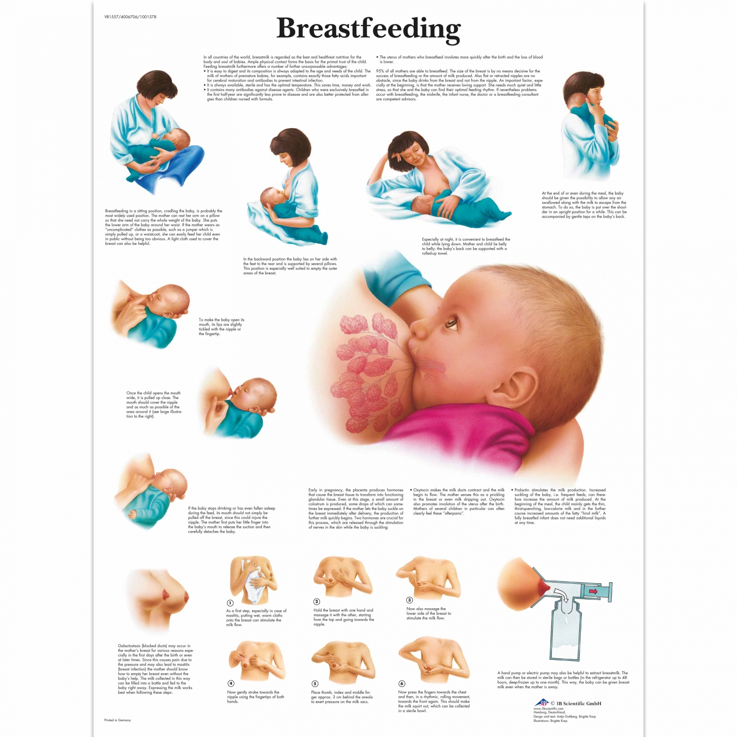 Wandplaat geplastificeerd Breastfeeding - 50 x 67 cm