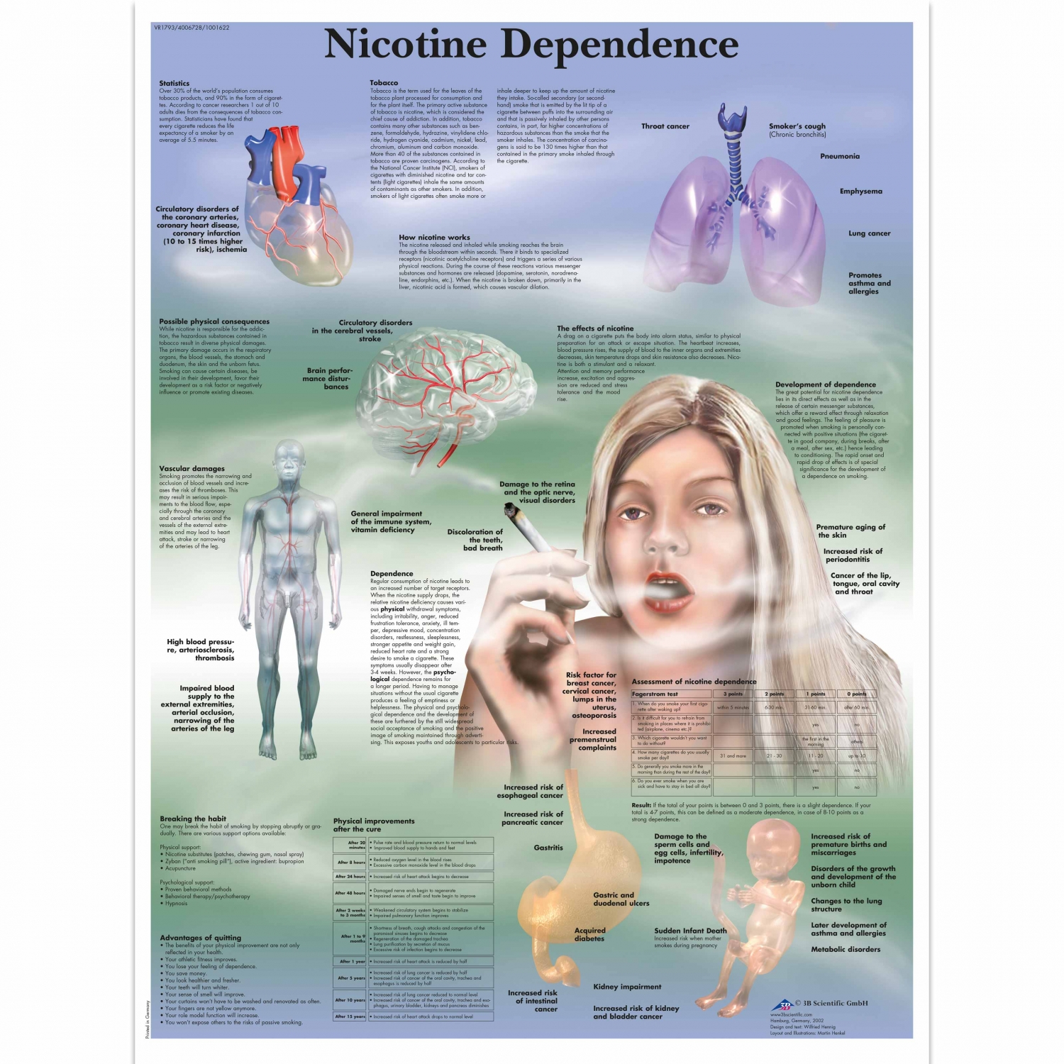 Pancarte murale plastifiée Nicotine Dependence - 50 x 67 cm